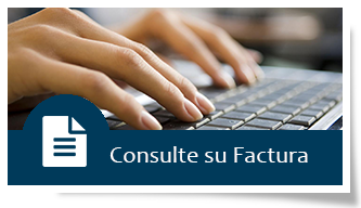 consulte su factura
